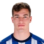 Luka Sučić