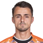 Daryl van Mieghem