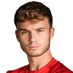 Dominik Schwizer