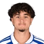 Denis Sahin
