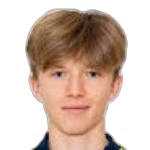 Tom Strannegård