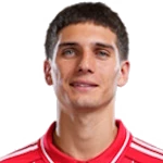 Nicolás Domínguez