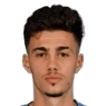 Nikola Mituljikić