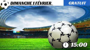 Pronostic Lyon - Lille