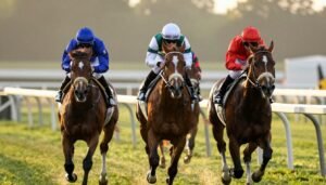 Critères de Sélection Turf 2026 : Base, Tocard, Outsider, Favori