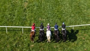Pick 5 PMU 2026 : Règle, mise, gains, différence Quinté+