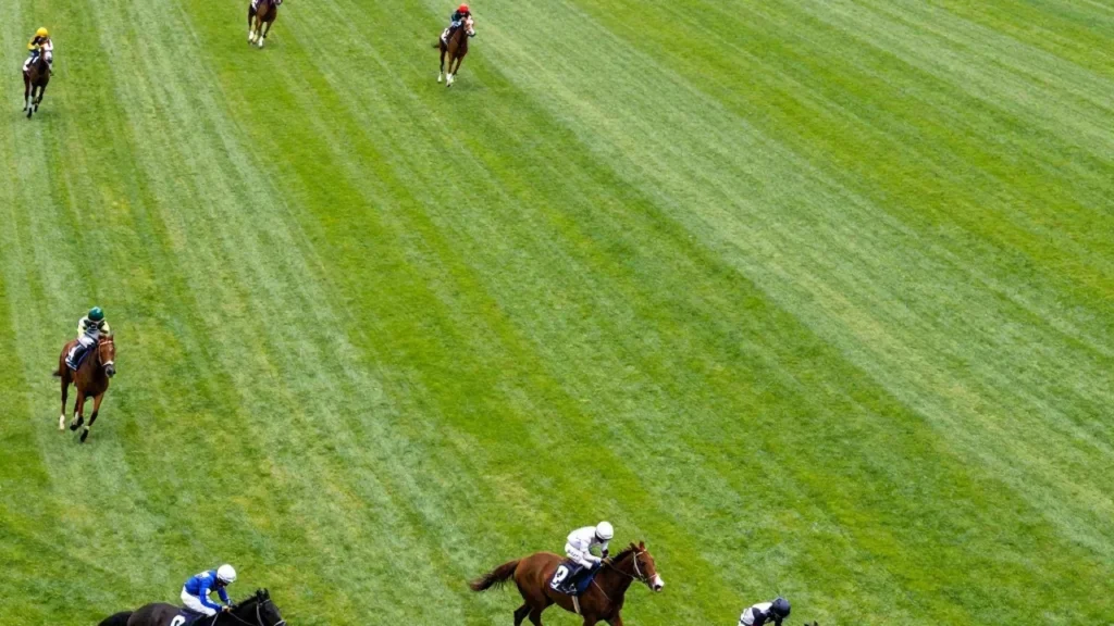 Outil turf PMU : Calculateur de Multi PMU