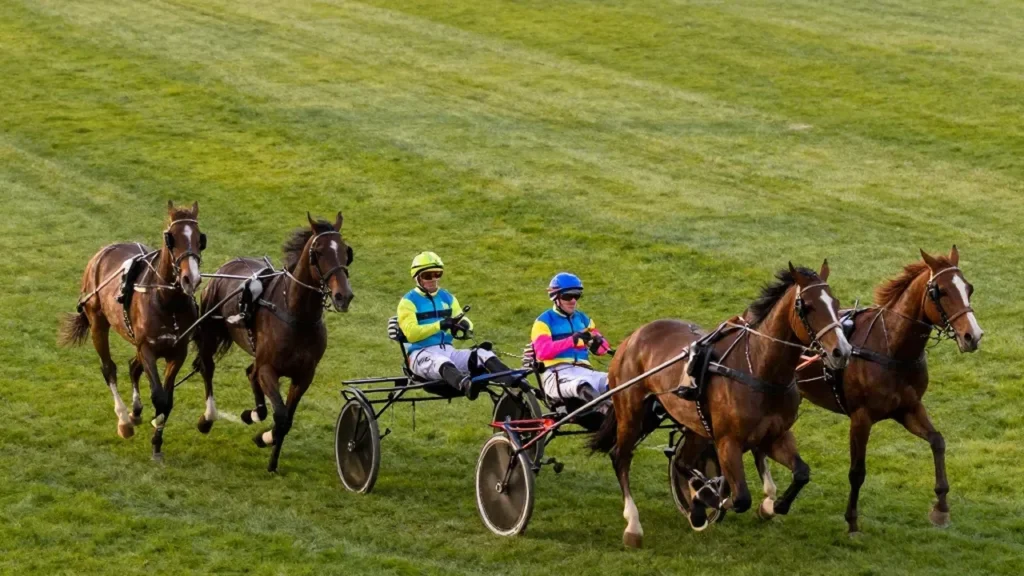 Hippodrome d'Enghien-Soisy Courses PMU 2026 : Trot, Obstacle, Quinté+