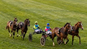 Hippodrome d'Enghien-Soisy Courses PMU 2026 : Trot, Obstacle, Quinté+