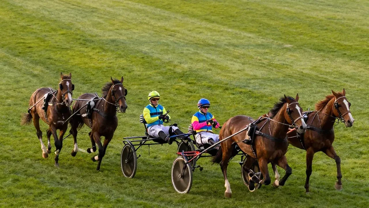 Hippodrome d'Enghien-Soisy Courses PMU 2026 : Trot, Obstacle, Quinté+
