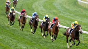 Cheval outsider à grosse cote dans le peloton lors d'une course hippique au PMU