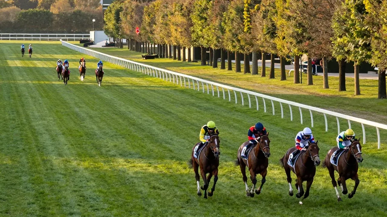 Hippodrome de Maisons-Laffitte : Courses PMU 2026