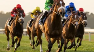 Jouer les favoris au turf : méthode et limites en 2026
