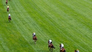 Outil turf PMU : Rapport probable PMU : l'estimer avant la course