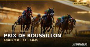 Multi 2026-06-24 : 3ème course - Prix De Roussillon a Borely (R5) - pronostic MediaPronos