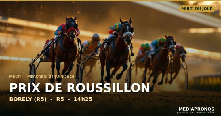 Pronostic Multi : Prix De Roussillon du 24 juin 2026 à Borely